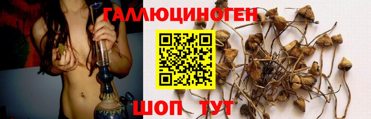 Псилоцибиновые грибы Cubensis Изобильный